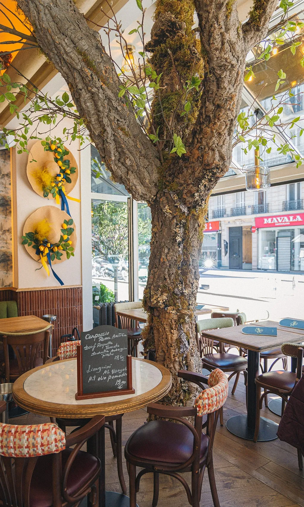 Table extérieure du restaurant Tivoli sous un arbre, ambiance chaleureuse